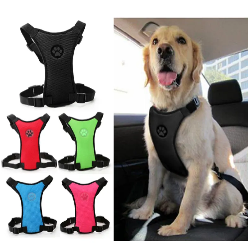 Yumi & Co. Travel Safety Harness